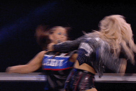 Girl Fight Wrestling Arena Fist Fight GIF