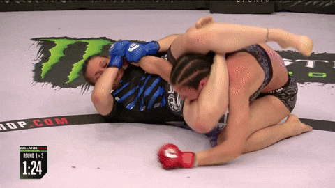 Girl Fight Wrestling Arena Violent Altercation GIF
