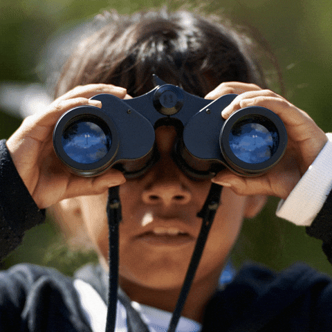 Girl Find Using Telescope GIF