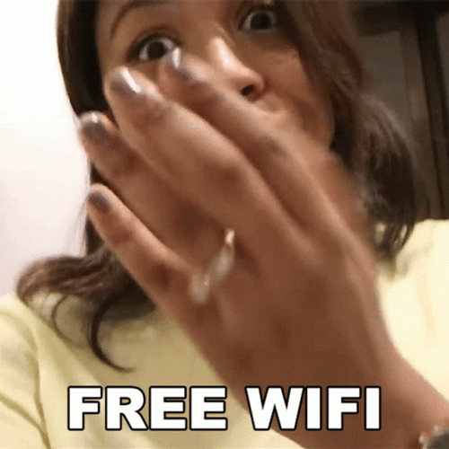 Girl Happy About Free Internet GIF