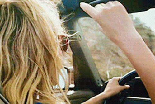 Girl Having Fun On Road Trip Meme GIF