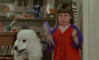 Girl Holding Brush Next to Poodle