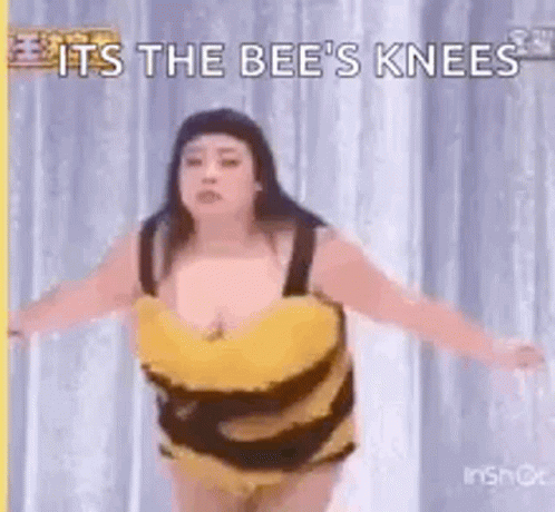 Girl In Bee Costume Dancing GIF