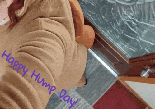 Girl In Camel Onesie Happy Hump Day Meme GIF