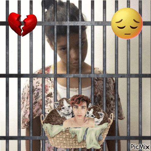 Girl In Jail Cell With Kittens And Broken Heart GIF