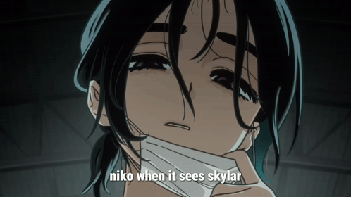 Girl In Mask Niko When It Sees Skylar