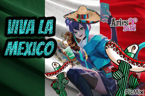 Girl in Sombrero Selfie with Mexican Flag Viva la Mexico