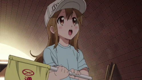 Girl In White Hat Holding Do Not Walk Sign GIF