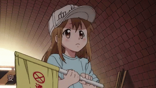Girl In White Hat Holding Yellow Flag With Red Circle GIF