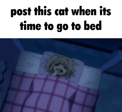 Girl Laying in Bed Post This Cat When It's Time to Go to Bed