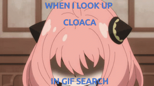 Girl Looking Up With Cloaca Gif Search