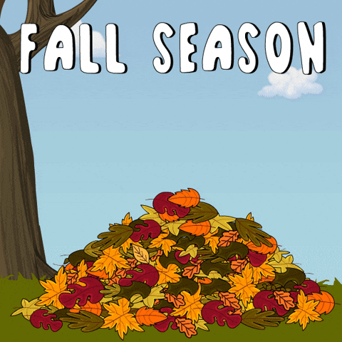 Girl Penguin On Leaf Fall Season GIF