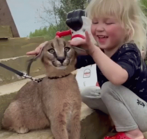 Girl Playing With Big Floppa Ears GIF