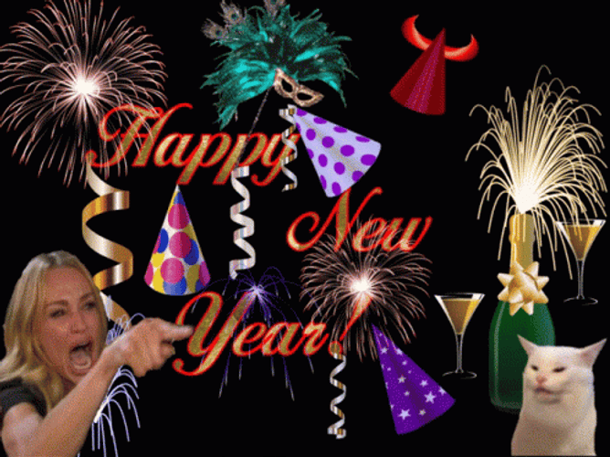 Girl Pointing Cat Happy New Year Animated GIF