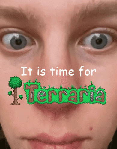 Girl Saying It Is Time For Terraria GIF