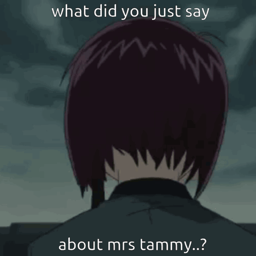 Girl Saying What Did You Just Say About Mrs Tammy GIF