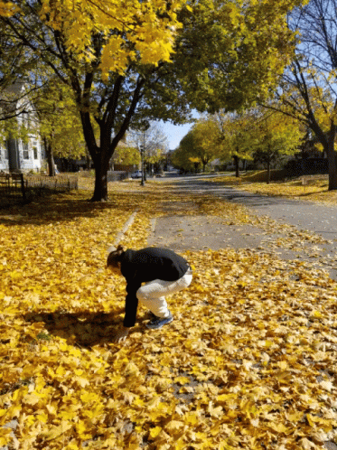 Girl Scattering Yellow Falling Leaves GIF