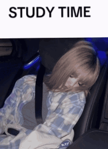 Girl Sleeping in Car Saying Study Time
