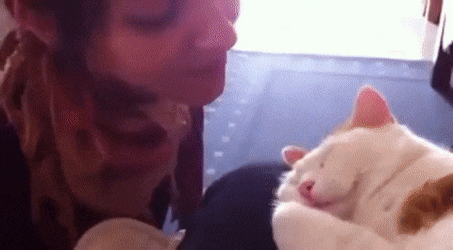 Girl Smooch With Sleeping Cat GIF