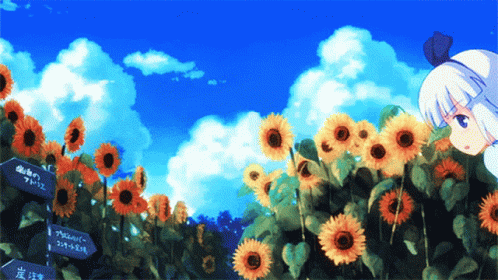 Girl Standing In Sunflower Field With Aoi Sign GIF
