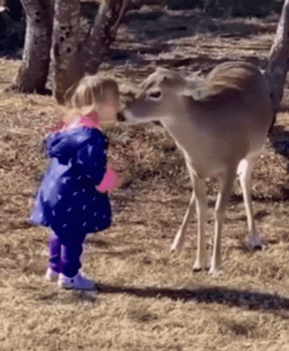 Girl Standing Next to Deer in Woods