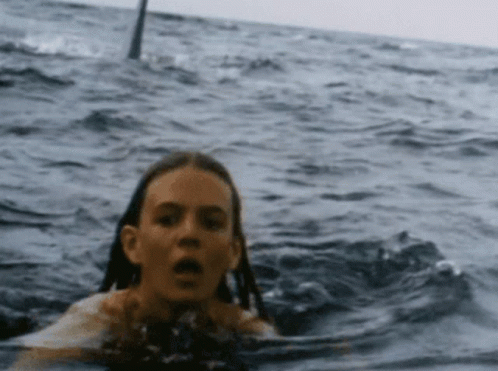Girl Swimming In Ocean Behind Shark GIF