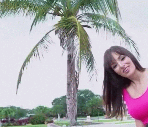 Girl Take A Video Of Coconut Tree GIF