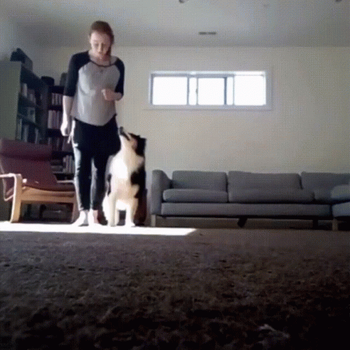 Girl Teaching Dog The Irish Jig GIF