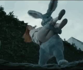 Girl Throw In Rabbit Hole GIF