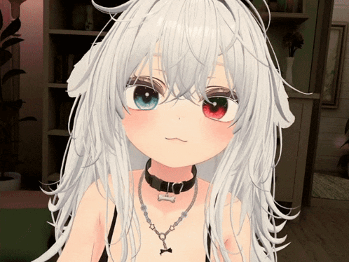 Girl White Hair Red Blue Eyes Dog Collar