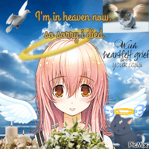 Girl With Angel Wings Saying I'm in Heaven Now