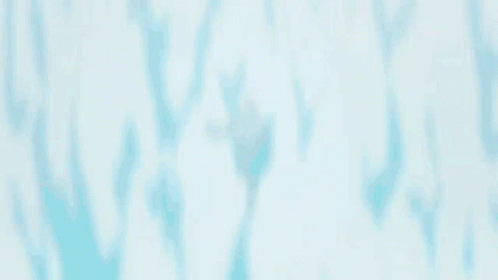 Girl With Bow Tie Close Up GIF