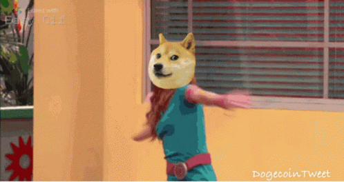Girl With Doge Head GIF