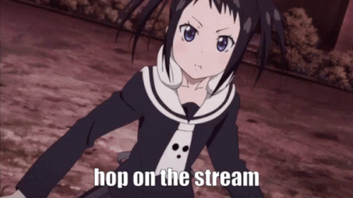 Girl With Text Hop on the Stream