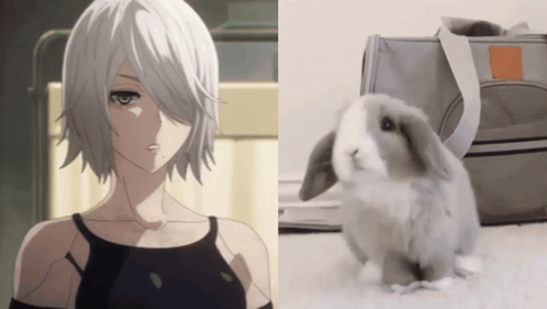 Girl With White Hair Next to Rabbit