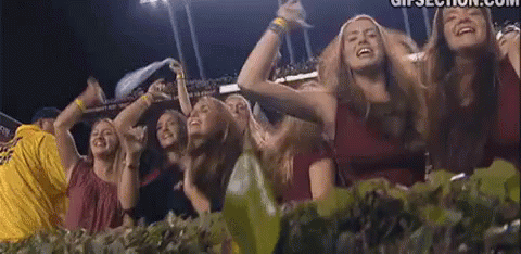 Girls Cheers For Gamecocks GIF