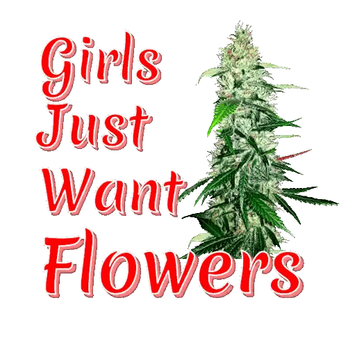 Girls Just Want Flowers Sign
