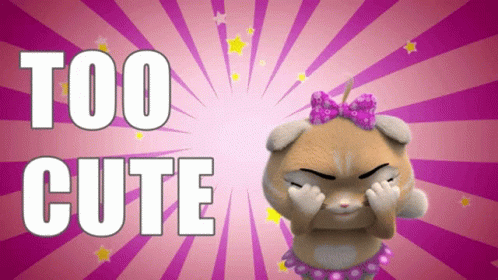 Girly Cute Pilou 44 Cats GIF