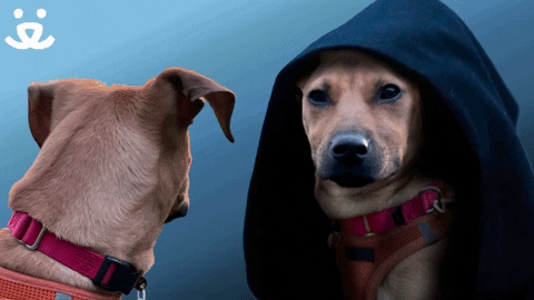 Give In To The Bark Dark Side GIF