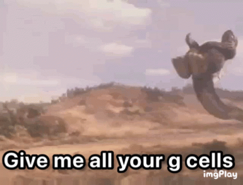 Give Me All Your Godzilla Cells Meme GIF