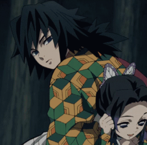 Giyu With Shinobu GIF