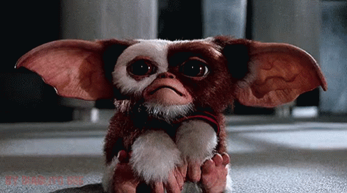 Gizmo from Gremlins Sitting on Rock