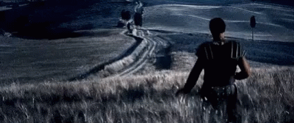 Gladiator Russel Crow Coming Home GIF