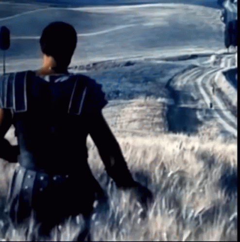 Gladiator Gladiators GIF