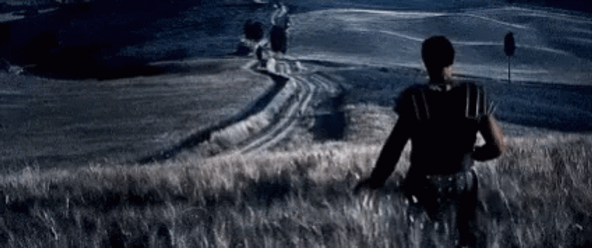 Gladiator Russel Crow Coming Home GIF