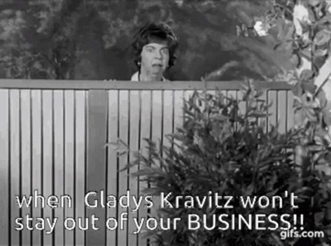 Gladys Kravitz GIF