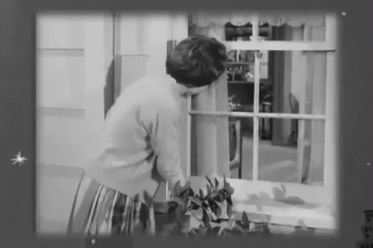 Gladys Kravitz GIF
