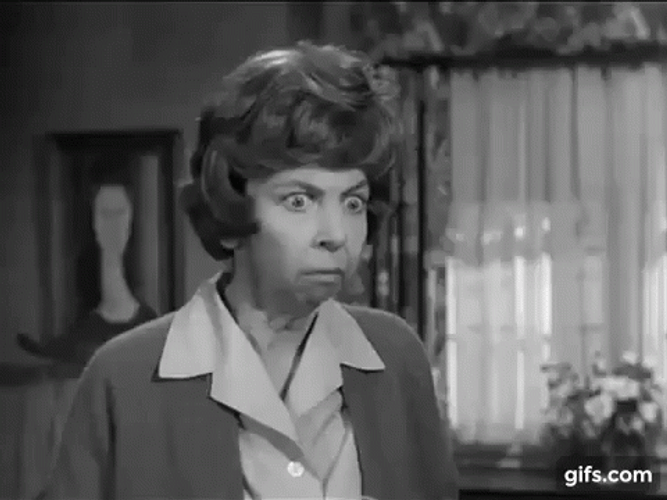 Gladys Kravitz GIF