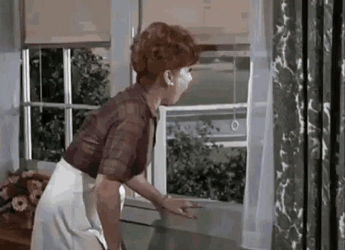 Gladys Kravitz GIF