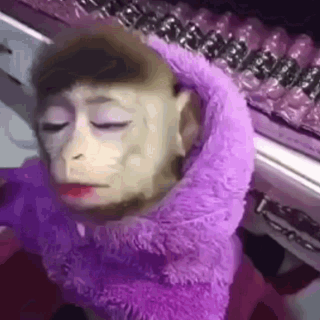 Glam Purple Makeup Monkey GIF